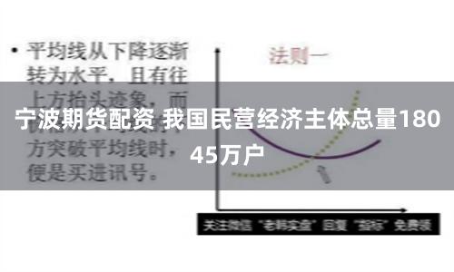 宁波期货配资 我国民营经济主体总量18045万户